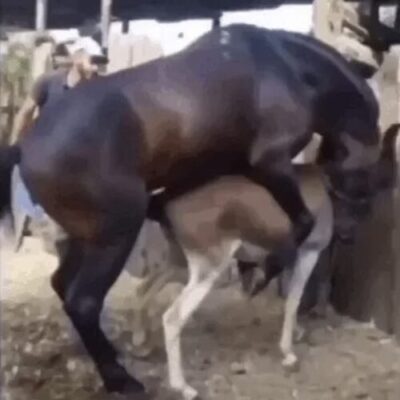 男生丁丁的类型图片大全(图3)